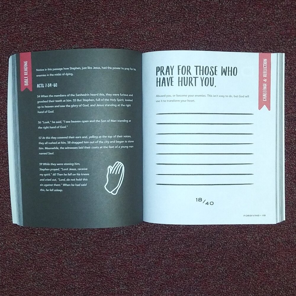 Red Letter Challenge Book - Picture 3 of 5